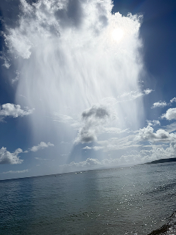 プロフィール写真